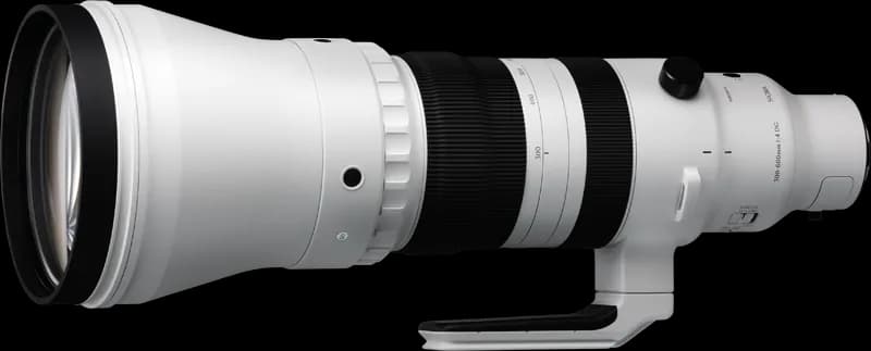 Sigma 300–600mm F4 DG OS Sports - Perspective